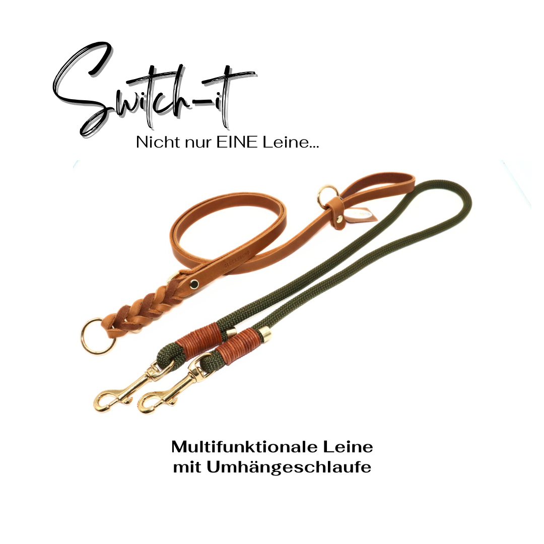 multifunktionale Lederleine SWITCH-IT