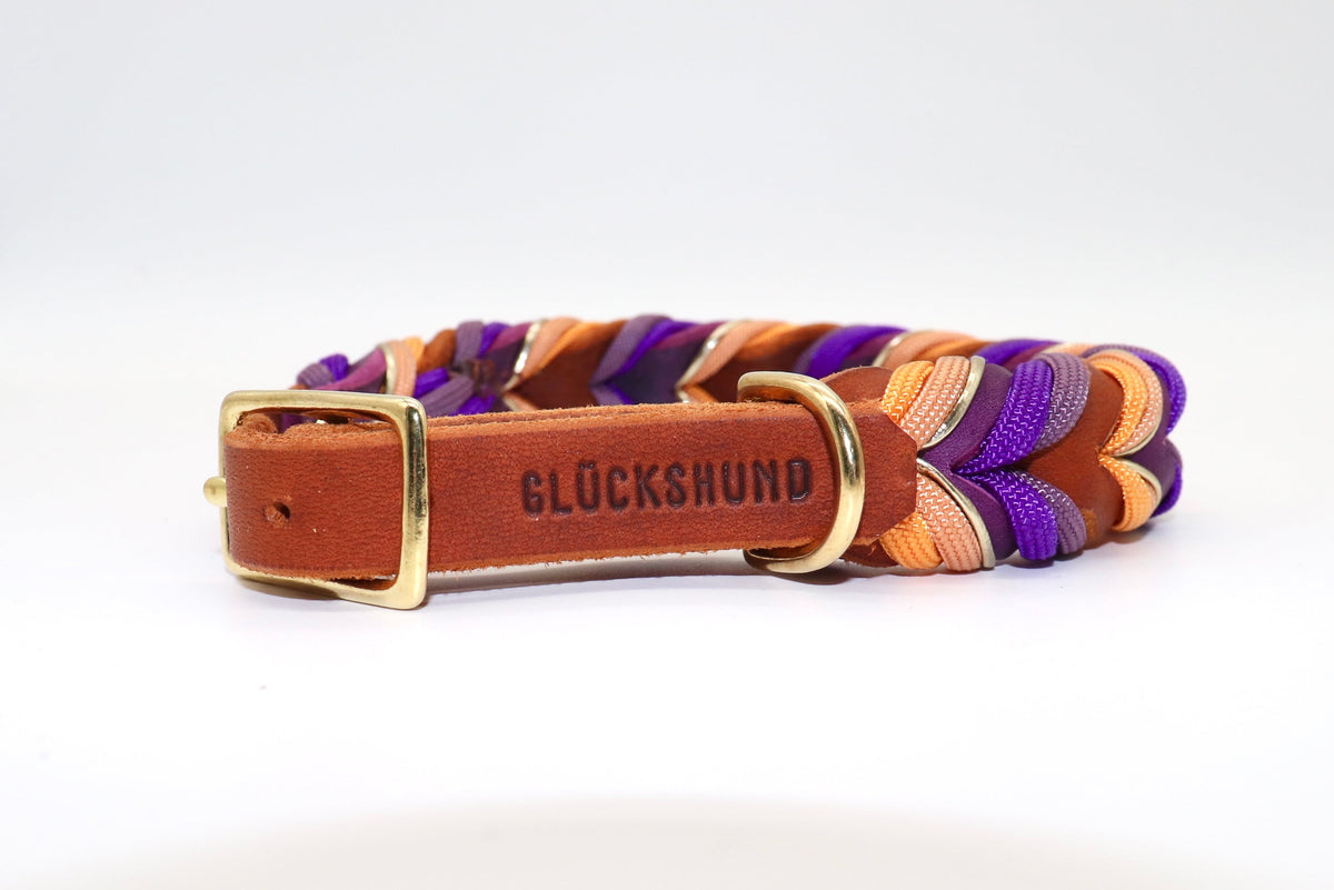 Fettlederhalsband geflochten braun mit Paracord in Violett und Orange