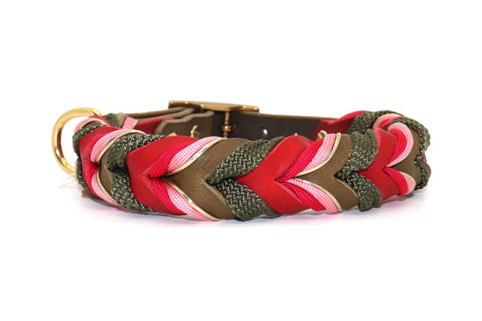 Fettlederhalsband grün und rot