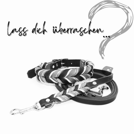 Überraschung GLÜCKSHUND