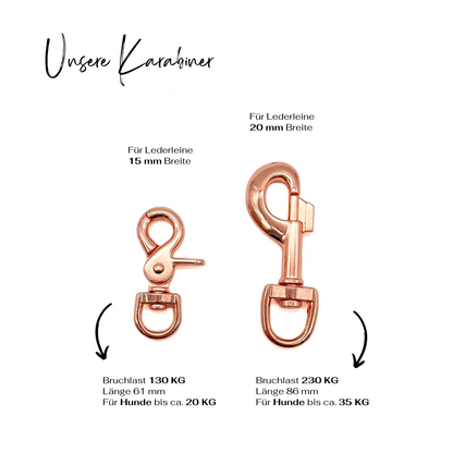 Karabiner Rosé Lederleinen