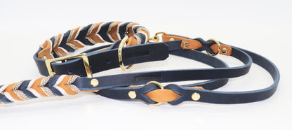 Halsband- und Leinenset Leder