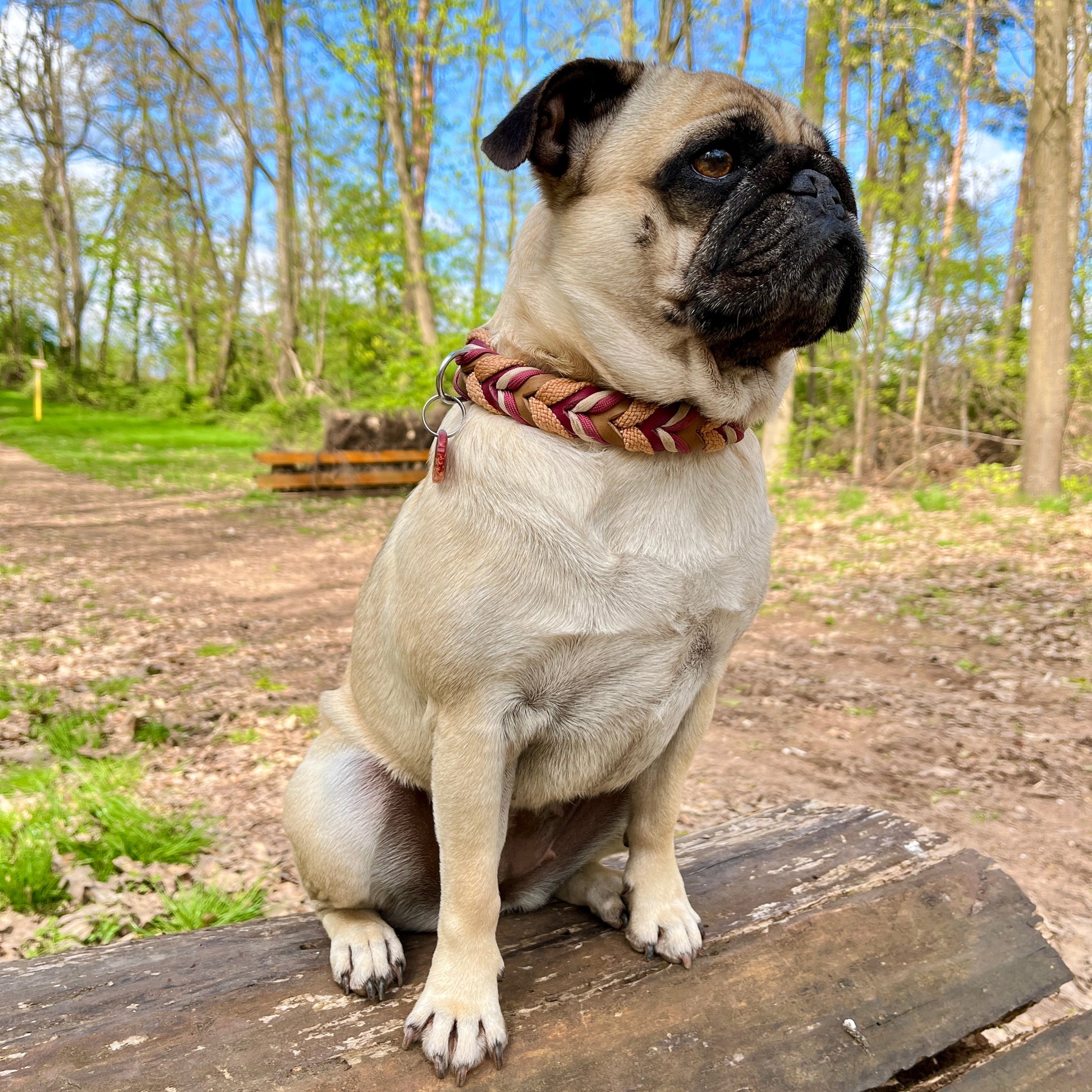 Fettlederhalsband geflochten mit Tau & Paracord in der Farbe Sand und Weinrot