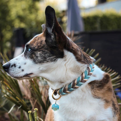 geflochtenes Fettlederhalsband Blau & Taupe